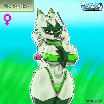 nintendo, pokemon created by hesneyr kamu