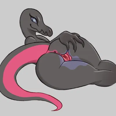 nintendo, pokemon created by vanillabeen