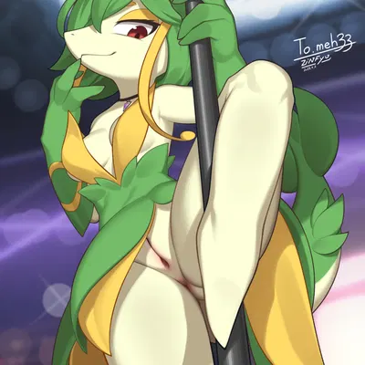 nintendo, pokemon created by zinfyu