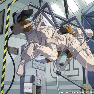 pinereese created by kemira