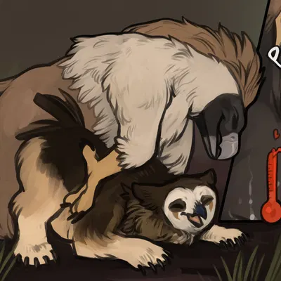 pirate eagle (dungeons and dragons, european mythology) created by torakuta