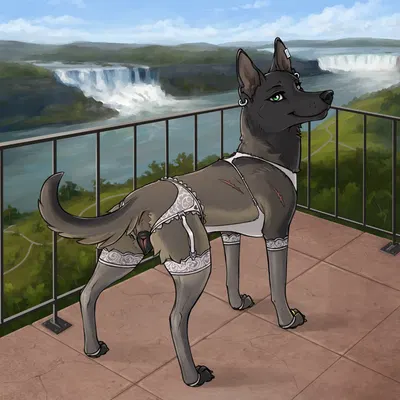 sarah (niffthefox) created by niffad