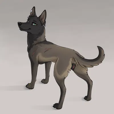 sarah (niffthefox) created by niffad