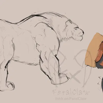 shads (disney, the lion king) created by feralclaw