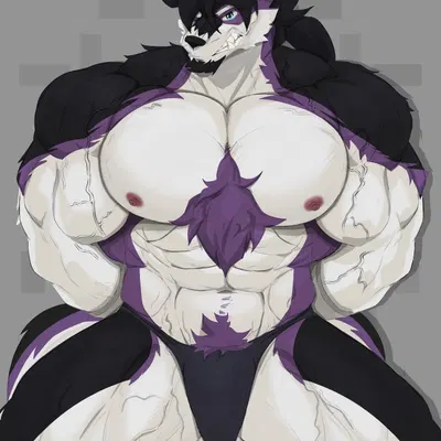 shyloc created by reachea