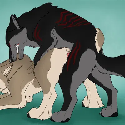 sitka created by killthe demon