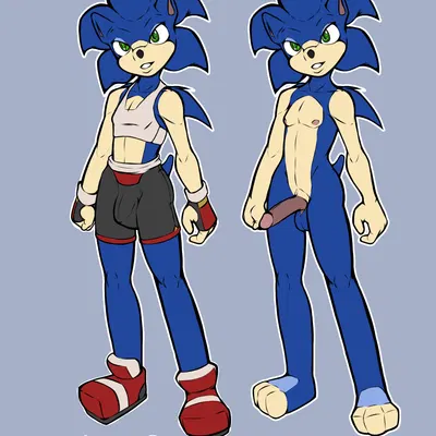 sonic the hedgehog (sega, sonic the hedgehog (series)) created by arashidrgn