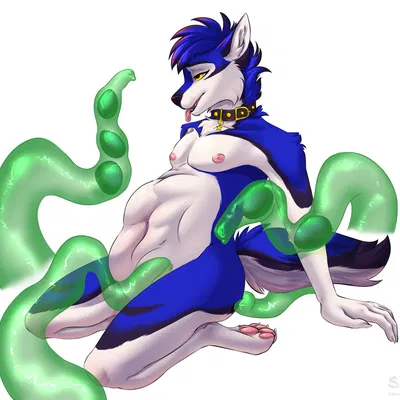 stefan sledwolf created by goallonely