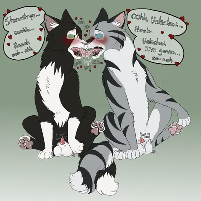 stormstripe (badfurgood), voleclaw (badfurgood) (warriors (book series)) created by badfurgood