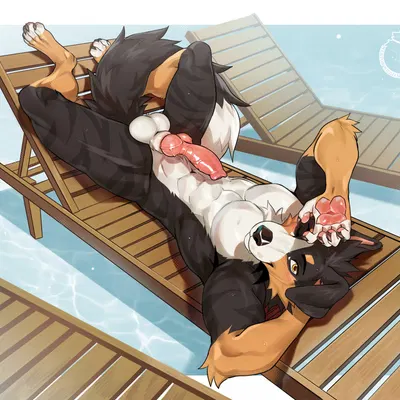 tarnb created by nerton