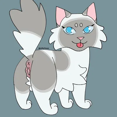 warriors (book series) created by m0llyflower