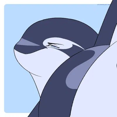 yano (dolphinproject) created by dolphinproject