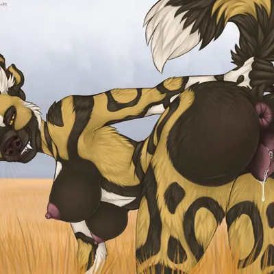 abasi (kojote latrans) created by toots