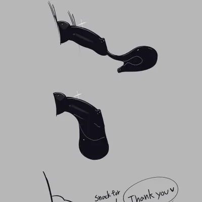 aerocats, project c.a.t.s created by presto (artist)