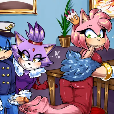 amy rose, blaze the cat, sonic the hedgehog (sega, sonic the hedgehog (series)) created by mayghely