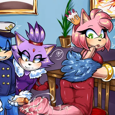 amy rose, blaze the cat, sonic the hedgehog (sega, sonic the hedgehog (series)) created by mayghely
