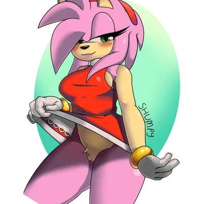 amy rose (sega, sonic the hedgehog (series)) created by shumpy