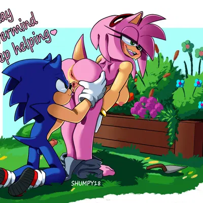 amy rose, sonic the hedgehog (sega, sonic the hedgehog (series)) created by shumpy