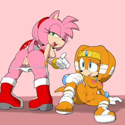 amy rose, tikal the echidna (sega, sonic adventure) created by neo x6