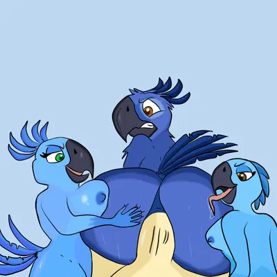 anon, bia (rio), carla (rio) (blue sky studios, rio (series)) created by shadowriox3