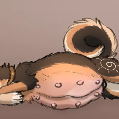 apollo (apollo sunshiba) created by heliofox