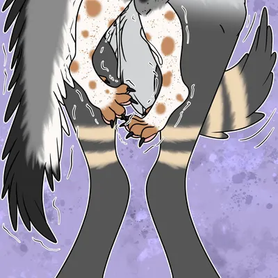 arwen, awoo scoots created by arwenscoots