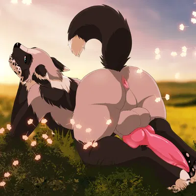 aske (tsarfox64) created by lawkie