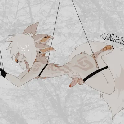 august (canines x3) created by canines x3