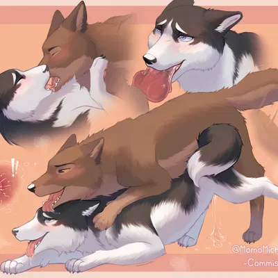 balto, thebaseballfur (balto (series), universal studios) created by momomichi nsfw