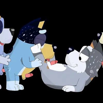 bandit heeler, bob heeler, radley heeler (bluey (series))