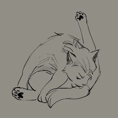 biscuit (chewtoyys) created by chewtoyys