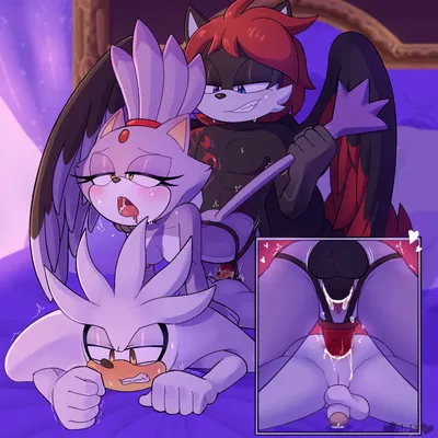 blaze the cat, fan character, silver the hedgehog (sega, sonic the hedgehog (series)) created by dreamatwrite