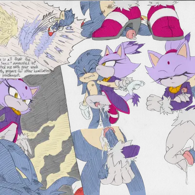 blaze the cat, sonic the hedgehog (sega, sonic the hedgehog (series)) created by hb lint, third-party edit