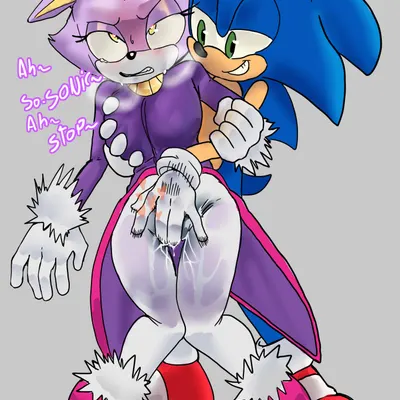 blaze the cat, sonic the hedgehog (sega, sonic the hedgehog (series)) created by nicole chees