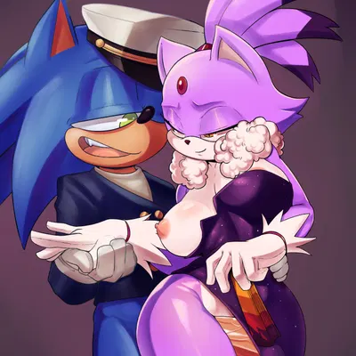 blaze the cat, sonic the hedgehog (sega, sonic the hedgehog (series)) created by teapose2