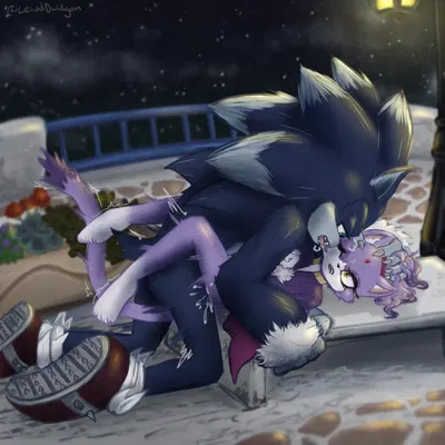 blaze the cat, sonic the hedgehog, sonic the werehog (mythology, sega) created by lewddwagon