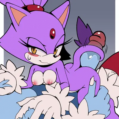 blaze the cat, sonic the hedgehog, sonic the werehog (sega, sonic the hedgehog (series)) created by senshion