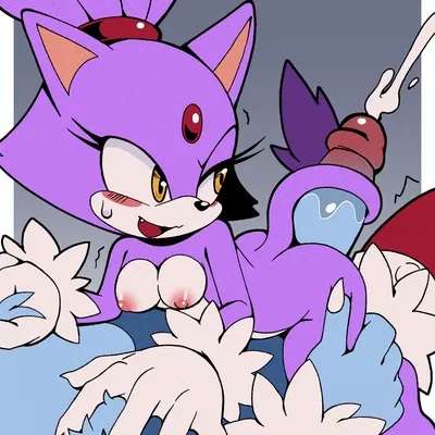 blaze the cat, sonic the hedgehog, sonic the werehog (sega, sonic the hedgehog (series)) created by senshion
