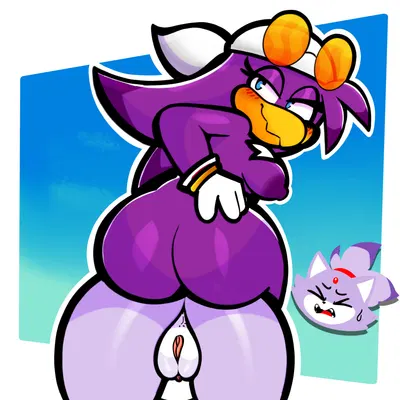 blaze the cat, wave the swallow (sega, sonic riders) created by heyomaerow