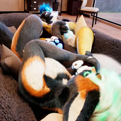 c4d created by daytia