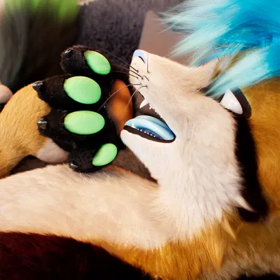 c4d created by daytia