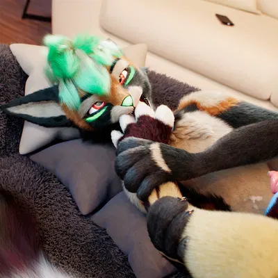 c4d created by daytia