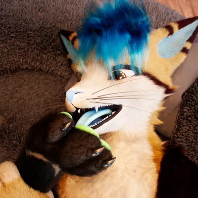 c4d created by daytia