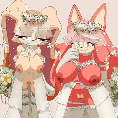 conductor's wife (sonic), vanilla the rabbit (sega, sonic the hedgehog (series)) created by inker comics