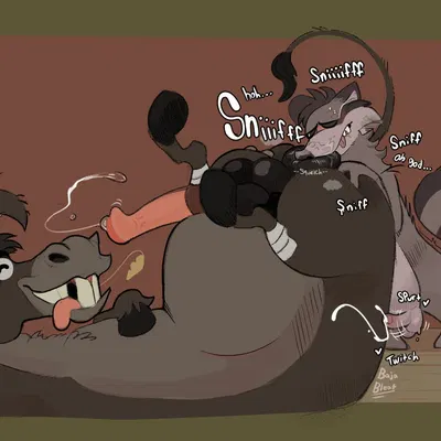 coontail, coontail v2 created by bajableat