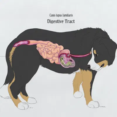 created by alekthebeasty