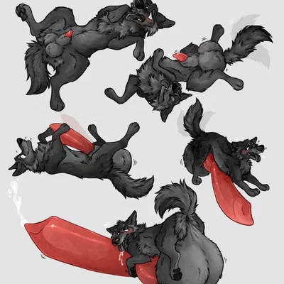 created by carnalcanid