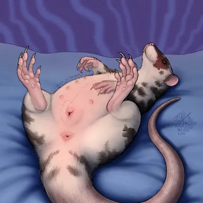 created by cloudweaver (artist)