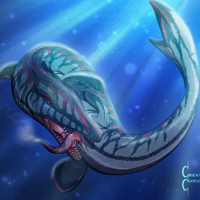 created by creaturecuriosities