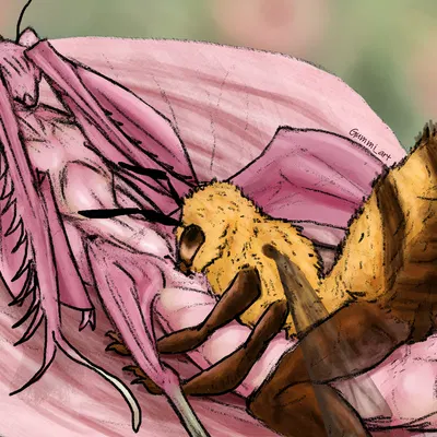 created by gummi art